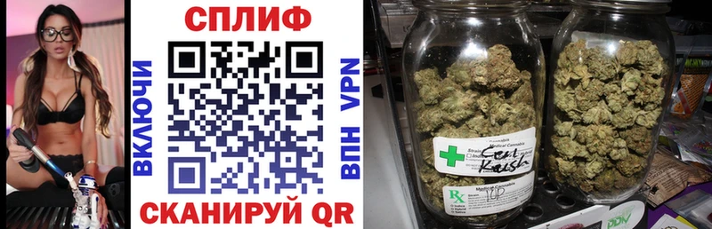 Наркошоп купить Alpha-PVP  Бошки Шишки  Меф  ГАШИШ  КОКАИН  Лагань