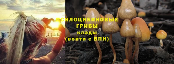 не бодяженный Михайловск