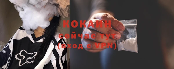 дмт Мегион