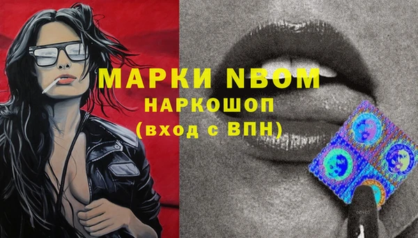 дмт Мегион
