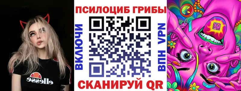 Псилоцибиновые грибы мицелий  Купить  Лагань 